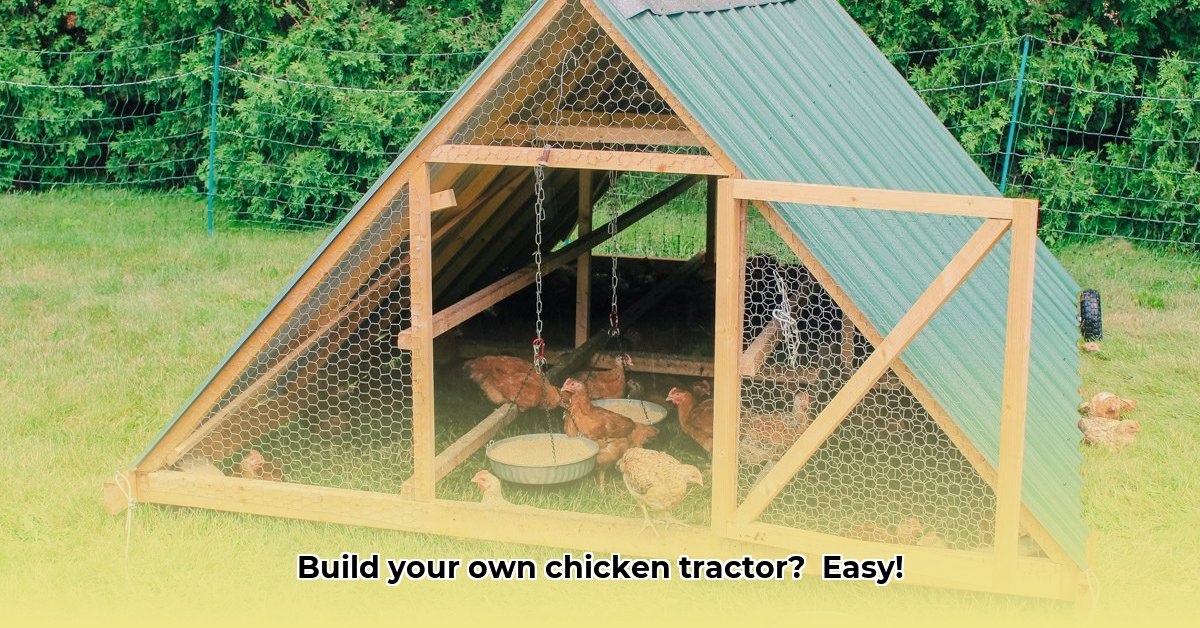 how-to-build-a-chicken-tractor